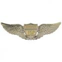 Early Pilot Wings Badge 