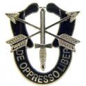 Special Forces Crest Flash Pin