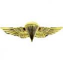 USN USMC Para Wings Badge