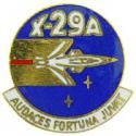 Grumman X-29 Pin