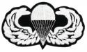 Army Para Wing Basic Patch 
