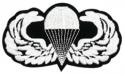 Army Para Wing Basic Patch Army Para Wing Basic Patch