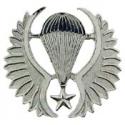 CHILEAN JUMP WING BADGE