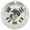 USMC Beirut  Multi-National Force Pin 