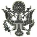 Air Force Officer Hat Badge