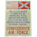 Confederate Air Force Pin