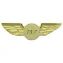 Boeing 747 Wings  Pin