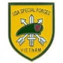 Special Forces Vietnam Pin
