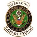 Desert Storm Army Pin
