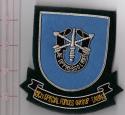19th Group Special Forces Bullion Pocket Patch 