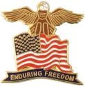 Enduring Freedom with USA Flag and Eagle Lapel Pin Enduring Freedom with USA Flag and Eagle Lapel Pin