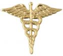 Army Medical Corps Lapel Pin 