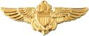 Navy Aviator Pin