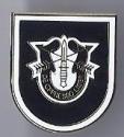 5th Special Forces Group Pin (POST BLACK FLASH)