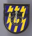 12th Special Forces Group Pin