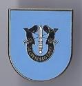 19th Special Forces Group Pin