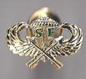 Special Forces Century Wings Basic Pin