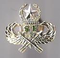 Special Forces Century Wings  Master Pin
