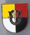 3rd Special Forces Group Pin 