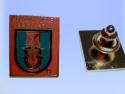 Special Forces Association Pin