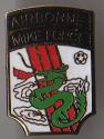 Special Forces Mike Force II CORPS  Pin Dragon