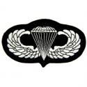 Parachuitst Wings Basic Patch