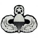 Parachuitst Wings Master Patch