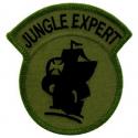 Army Jungle War Training Center Patch 