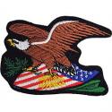 Take Pride Eagle Patch