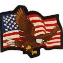 Eagle with Flag Patch