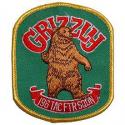 Air Force Grizzlys 196th TFS Patch