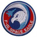 Air Force Space Eagle Patch