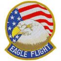 Eagle Flight Patch