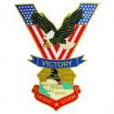 Desert Storm Victory Eagle Patch