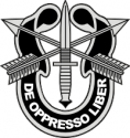 Special Forces Crest Decal