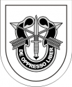 Special Forces Training Group Decal