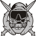 Special Operations Diver Decal