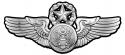 Air Force Chief Enlisted Aircrew Basic Wings all Metal Sign (Large) 17 x 8"