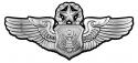 Air Force Masters Officer's Aircrew Basic Wings all Metal Sign (Large) 17 x 8"