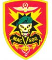 Special Forces MACVSOG Pin