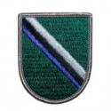 Special Forces Personnel Assigned to SF Positions not in SF Units Beret Flash