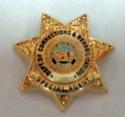 California Department of Corrections and Rehabilitation (Special Agent) Pin  3/4
