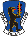 Special Troops Berlin Brigade (Right)  Decal