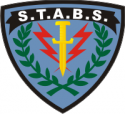 S.T.A.B.S. Decal