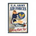 Air Force Pinup Metal Sign