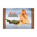 B17 Redhead Metal Sign