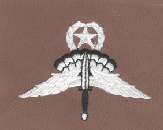 combat freefall badge india