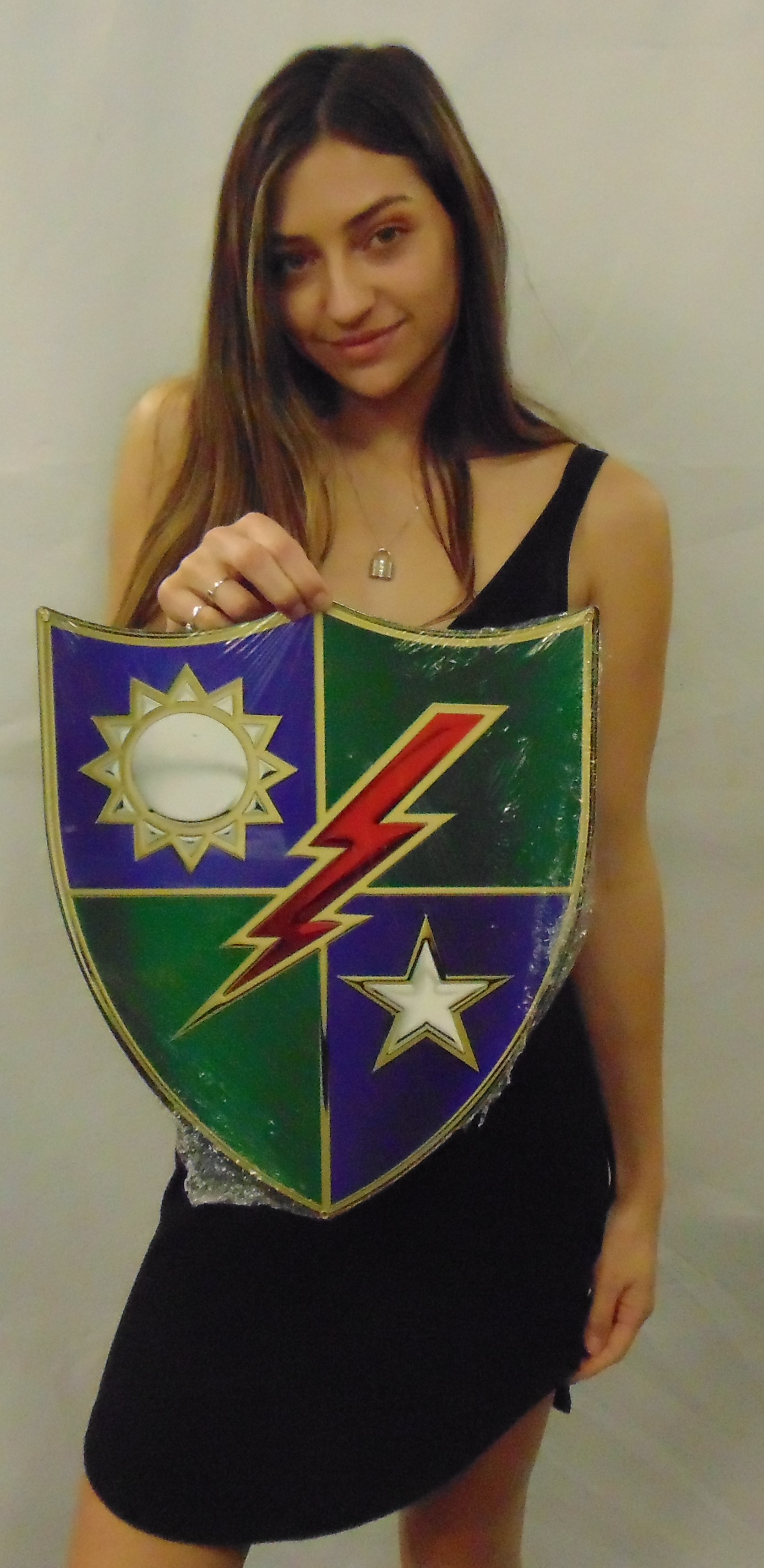 75TH RANGER REGIMENT Crest Metal Sign All Metal Sign 16 x 13" North